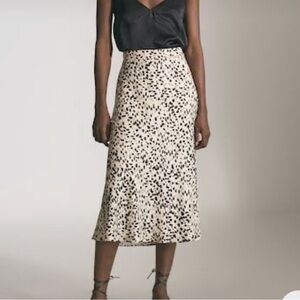 Massimo Dutti skirt / Size 6